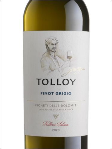 фото Tolloy Pinot Grigio Толлой Пино Гриджио Италия вино белое