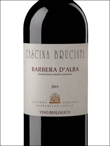 фото Cascina Bruciata Barbera d'Alba DOC Кашина Бручата Барбера д'Альба Италия вино красное
