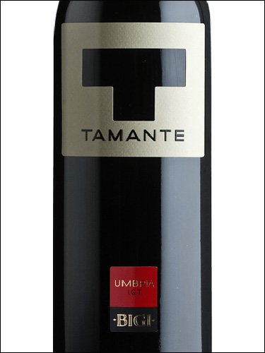 фото Bigi Tamante Umbria Rosso IGT Биджи Таманте Умбрия Россо Италия вино красное