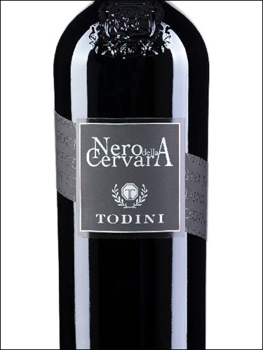 фото Todini Nero della Cervara Umbria Rosso IGT Тодини Неро делла Червара Умбрия Россо Италия вино красное