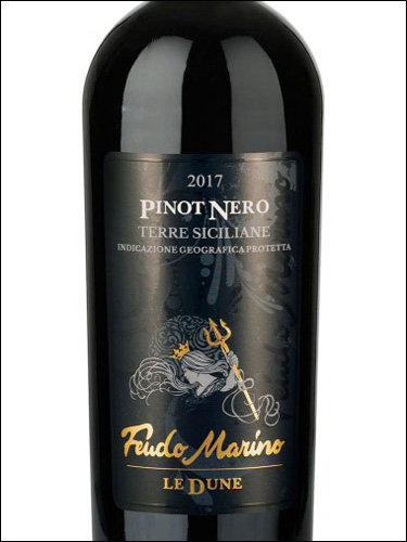 фото Feudo Marino Le Dune Pinot Nero Terre Siciliane IGP Феудо Марино Ле Дюне Пино Неро Терре Сичилиане Италия вино красное