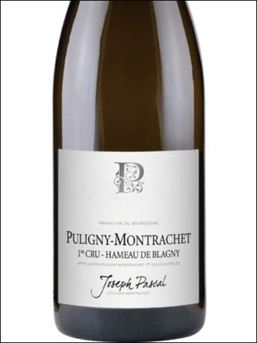 фото Joseph Pascal Puligny-Montrachet Premier Cru Hameau de Blagny AOC Жозеф Паскаль Пюлиньи-Монраше Премье Крю Амо де Блэни Франция вино белое