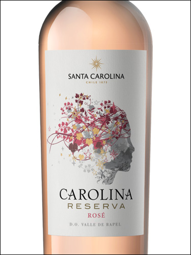 фото Santa Carolina Carolina Reserva Rose Valle de Rapel Санта Каролина Каролина Ресерва Розе Долина Рапель Чили вино розовое