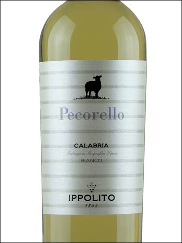 фото Ippolito 1845 Pecorello Calabria IGT Ипполито 1845 Пекорелло Калабрия Италия вино белое