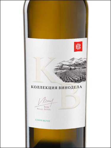 фото Kuban-Vino Kollektsiya Vinodela White Dry Кубань-Вино Коллекция винодела белое сухое Россия вино белое