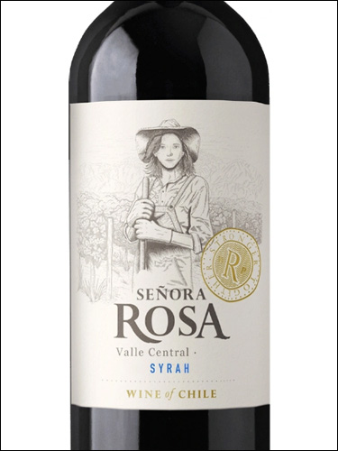 фото Senora Rosa Syrah Сеньора Роса Сира Чили вино красное
