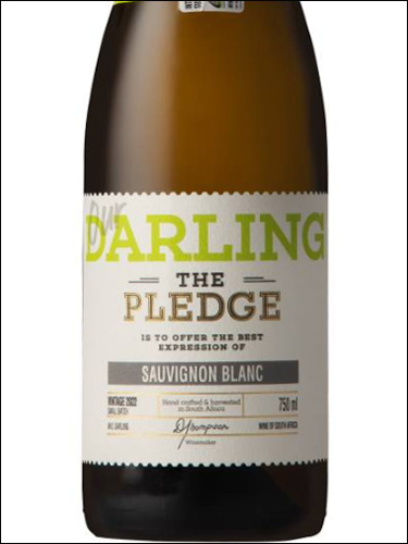 фото The Pledge Our Darling Sauvignon Blanc Пледж Ауа Дарлинг Совиньон Блан ЮАР вино белое