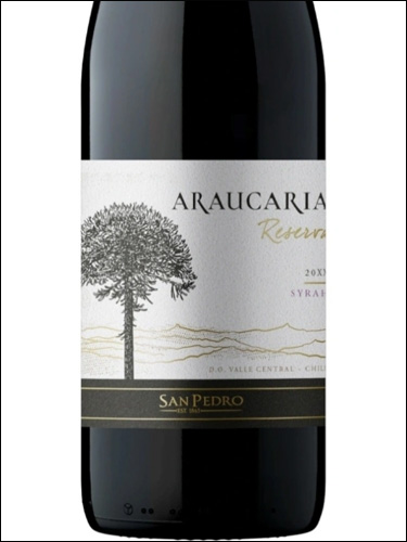 фото San Pedro Araucaria Reserva Syrah Сан Педро Араукария Резерва Сира Чили вино красное