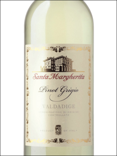фото Santa Margherita Pinot Grigio Valdadige DOC Санта Маргарита Пино Гриджио Вальдадидже Италия вино белое