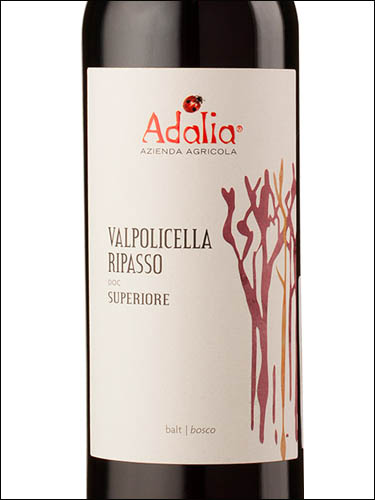 фото Adalia Balt Valpolicella Valpolicella Ripasso Superiore DOC Адалия Бальт Вальполичелла Рипасо Супериоре Италия вино красное