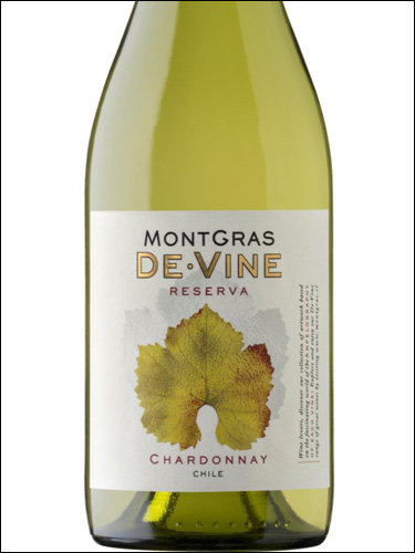 фото MontGras De Vine Reserva Chardonnay Valle Central МонтГрас Де Вине Резерва Шардоне Центральная Долина Чили вино белое
