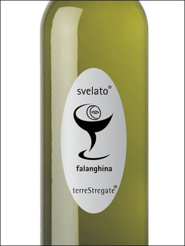 фото Terre Stregate Svelato Falanghina del Sannio DOC Терре Стрегале Свелато Фалангина дель Саннио Италия вино белое