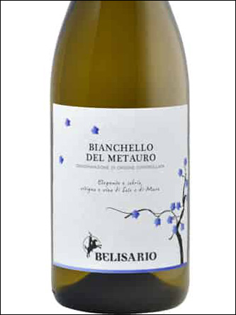 фото Belisario Bianchello del Metauro DOC Белисарио Бьянкелло дель Метауро Италия вино белое