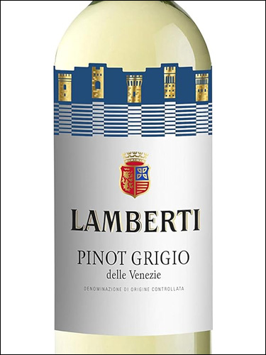 фото Lamberti Pinot Grigio Delle Venezie DOC Ламберти Пино Гриджио делле Венецие Италия вино белое