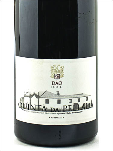 фото Quinta da Pellada Tinto Dao DOC Кинта да Пеллада Тинто Дан ДОК Португалия вино красное