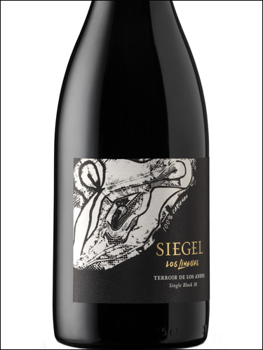фото Siegel Los Lingues Carignan Сигель Лос Лингес Кариньян Чили вино красное