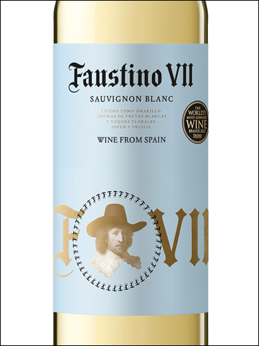фото вино Faustino VII Sauvignon Blanc 