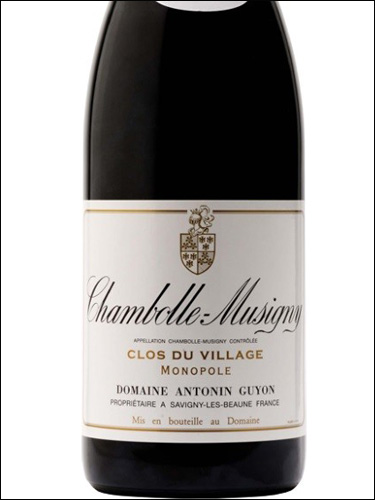 фото Domaine Antonin Guyon Chambolle-Musigny Clos du Village AOC Домен Антонен Гийон Шамболь-Мюзиньи Кло дю Вилляж Франция вино красное