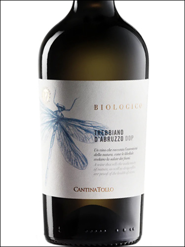 фото Cantina Tollo Biologico Trebbiano d’Abruzzo DOP Кантина Толло Биолоджико Треббьяно д'Абруццо Италия вино белое