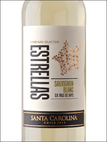 фото Santa Carolina Estrellas Sauvignon Blanc Санта Каролина Эстреллас Совиньон Блан Чили вино белое