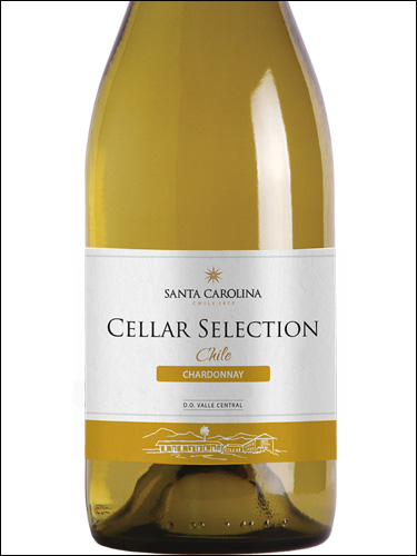 фото Santa Carolina Cellar Selection Chardonnay Санта Каролина Селлар Селекшн Шардоне Чили вино белое