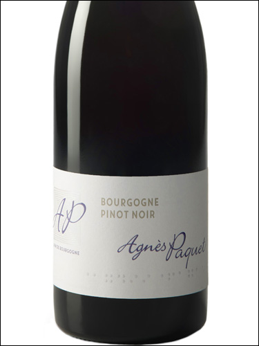 фото Agnes Paquet Bourgogne Pinot Noir AOC Аньес Паке Бургонь Пино Нуар Франция вино красное