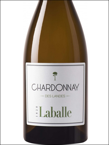фото Domaine Laballe Chardonnay des Landes Cotes de Gascogne IGP Домен Лабаль Шардоне Ланд Кот де Гасконь Франция вино белое