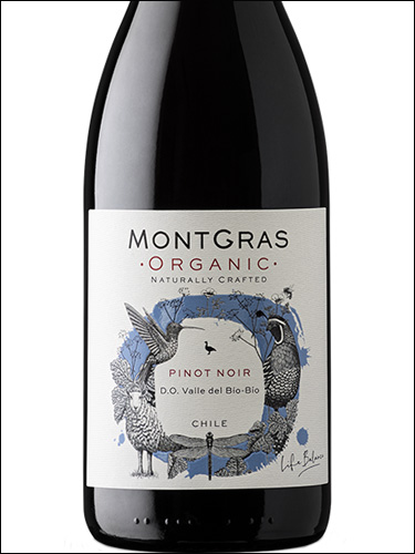 фото MontGras Organic Pinot Noir МонтГрас Органик Пино Нуар Чили вино красное