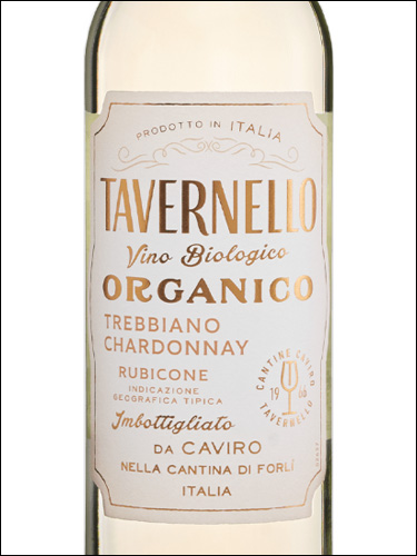 фото Tavernello Organico Trebbiano-Chardonnay Rubicone IGT Тавернелло Органико Треббьяно-Шардоне Рубиконе Италия вино белое