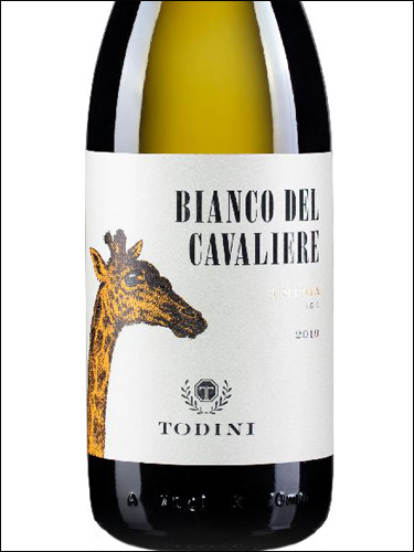 фото Todini Bianco del Cavaliere Umbria IGT Тодини Бьянко дель Кавальере Бьянко Италия вино белое