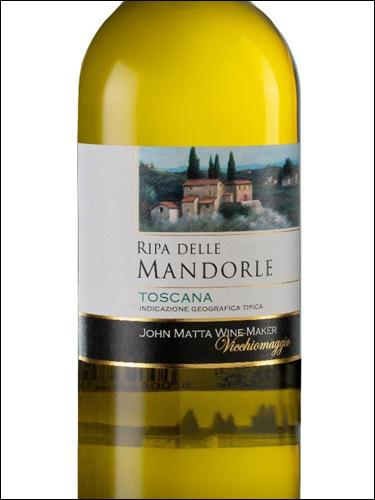 фото Vicchiomaggio Ripa delle Mandorle Toscana Bianco IGT Виккьомаджо Рипа делле Мандорле Тоскана Бьянко Италия вино белое