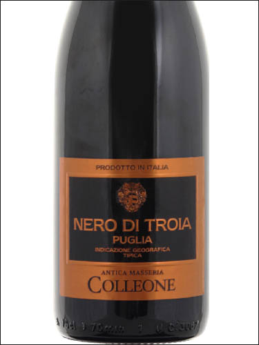 фото Antica Masseria Colleone Nero di Troia Puglia IGP Антика Массерия Коллеоне Неро ди Троя Апулия Италия вино красное