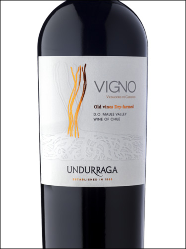 фото Undurraga Vigno Old Vines Dry Farmed Carignan Maule Valley DO Ундуррага Виньо Олд Вайнс Драй Фармед Кариньян Долина Мауле Чили вино красное