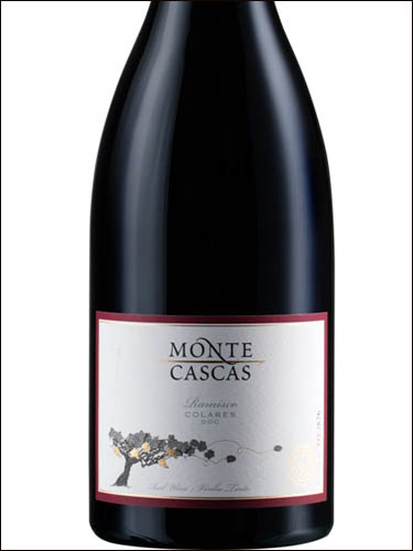 фото Monte Cascas Ramisco Colares DOC Монте Кашсаш Рамишку Колареш Португалия вино красное