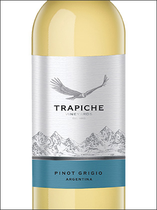 фото Trapiche Vineyards Pinot Grigio Трапиче Виньярдс Пино Гриджио Аргентина вино белое