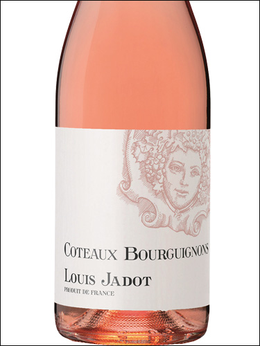 фото Louis Jadot Coteaux Bourguignons Rose AOC Луи Жадо Кото Бургиньон Розе Франция вино розовое