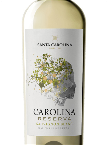 фото Santa Carolina Carolina Reserva Sauvignon Blanc Санта Каролина Каролина Ресерва Совиньон Блан Чили вино белое