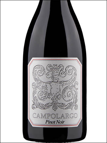 фото Campolargo Pinot Noir Bairrada DOC Камполарго Пино нуар Байррада Португалия вино красное