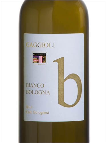 фото Gaggioli Bologna Bianco Colli Bolognesi DOC Гаджиоли Болонья Бьянко Колли Болоньези ДОК Италия вино белое