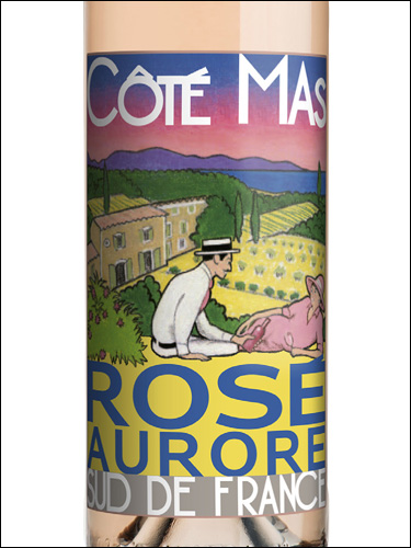 фото Cote Mas Rose Aurore Pays d'Oc IGP Коте Мас Розе Орор Пэи д'Ок Франция вино розовое