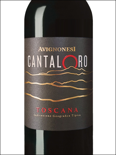 фото Avignonesi Cantaloro Rosso Toscana IGT Авиньонези Канталоро Россо Тоскана Италия вино красное