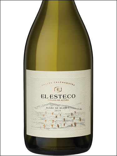 фото El Esteco Blanc de Blancs Эль Эстеко Блан де Блан Аргентина вино белое