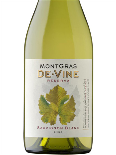 фото MontGras De Vine Reserva Sauvignon Blanc Valle Central МонтГрас Де Вине Резерва Совиньон Блан Центральная Долина Чили вино белое
