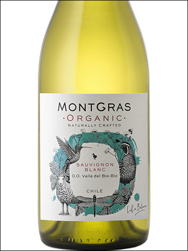 фото MontGras Organic Sauvignon Blanc МонтГрас Органик Совиньон Блан Чили вино белое