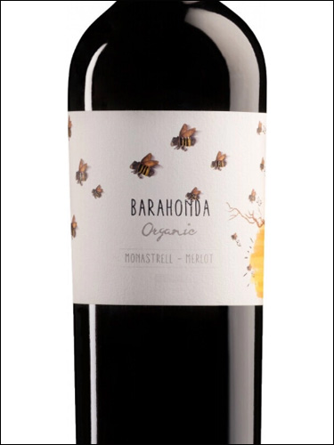 фото вино Barahonda Organic Monastrell-Merlot Yecla DO 
