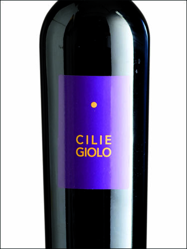 фото Casa alle Vacche Ciliegiolo Toscana IGT Каза Алле Вакке Чильеджоло Тоскана Италия вино красное