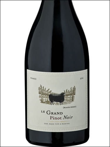 фото Le Grand Noir Pinot Noir Pays d'Oc IGP Ле Гран Нуар Пино Нуар Пэи д'Ок Франция вино красное