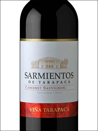 фото Sarmientos de Tarapaca Cabernet Sauvignon Сармиентос де Тарапака Каберне Совиньон Чили вино красное