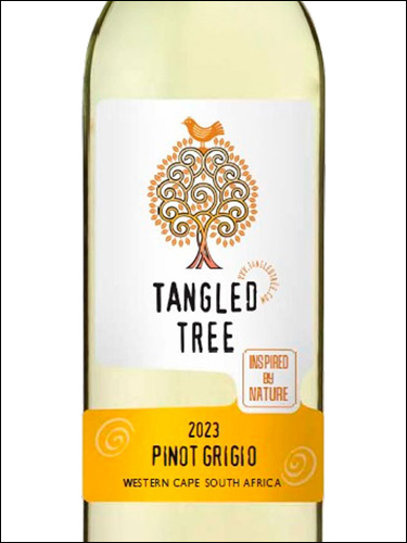 фото Tangled Tree Pinot Grigio Танглед Три Пино Гриджио ЮАР вино белое