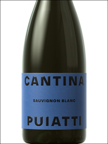 фото Cantina Puiatti Sauvignon Blanc Friuli DOC Кантина Пуятти Совиньон Блан Фриули Италия вино белое